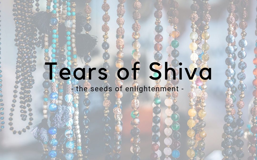 The Tears of Shiva – Rudraksha