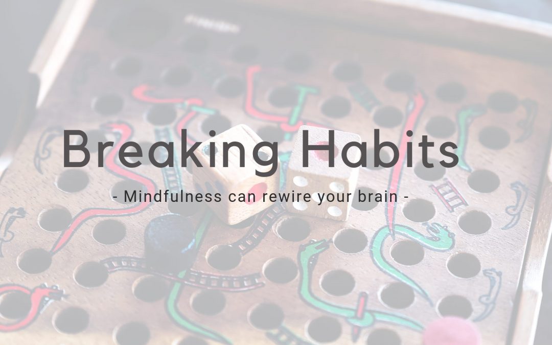 Breaking Bad Habits – Mindfulness Changes Your Brain